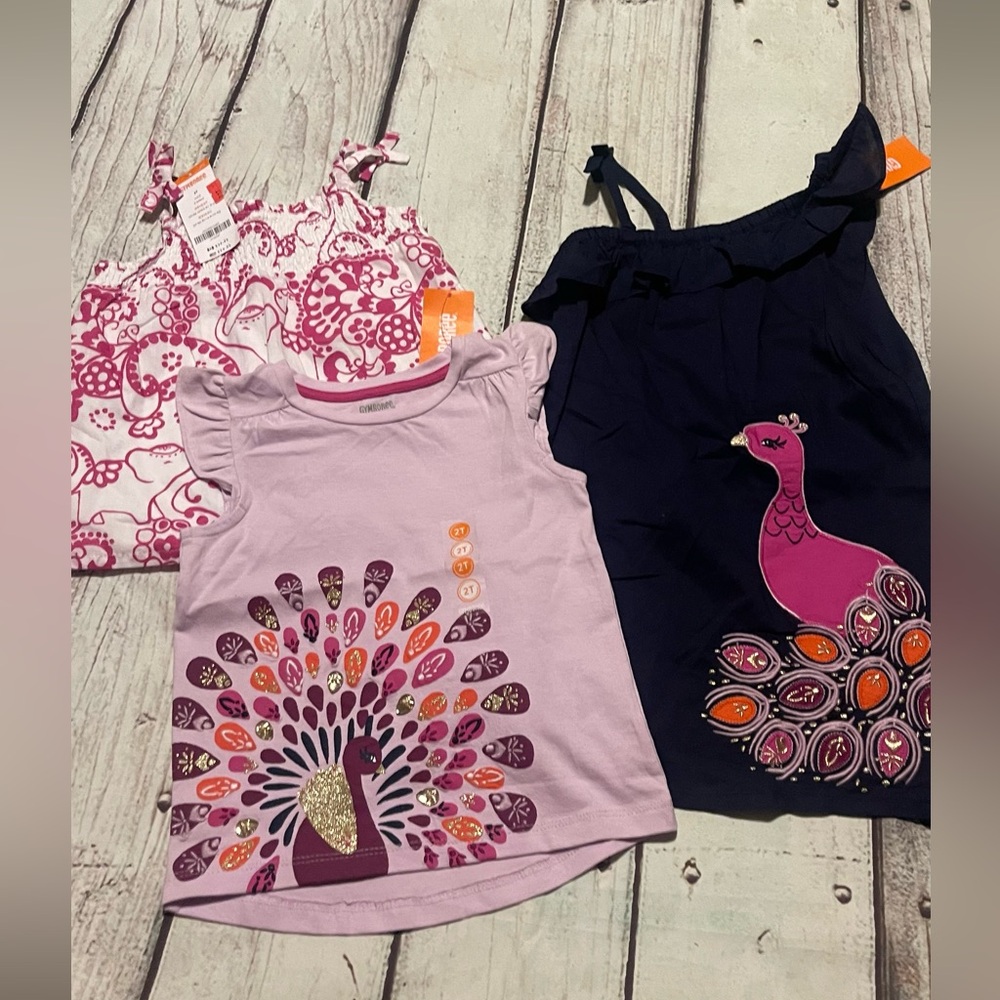 Gymboree 3pc lot bundle Sz 2t toddler girl colthes